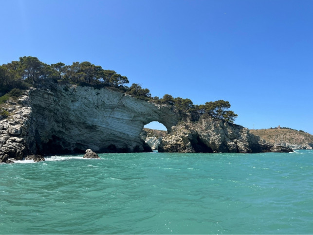 Mieszkanie Wynajem Vieste, Foggia, Apulia, 71019, Włochy Via Tordisco 15