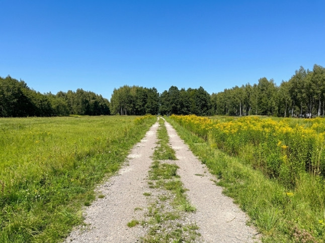 Działka Sprzedaż Widełka 3