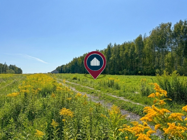 Działka Sprzedaż Widełka 1